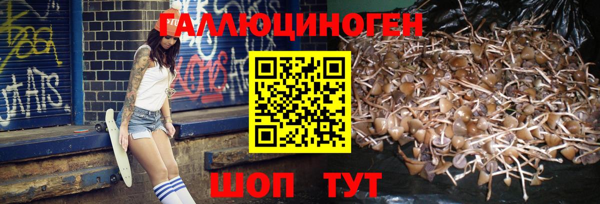 Богородицк  Псилоцибиновые грибы мухоморы  Вход с VPN 